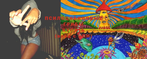 МДПВ Арсеньев