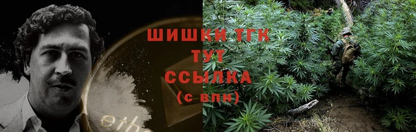МДПВ Арсеньев